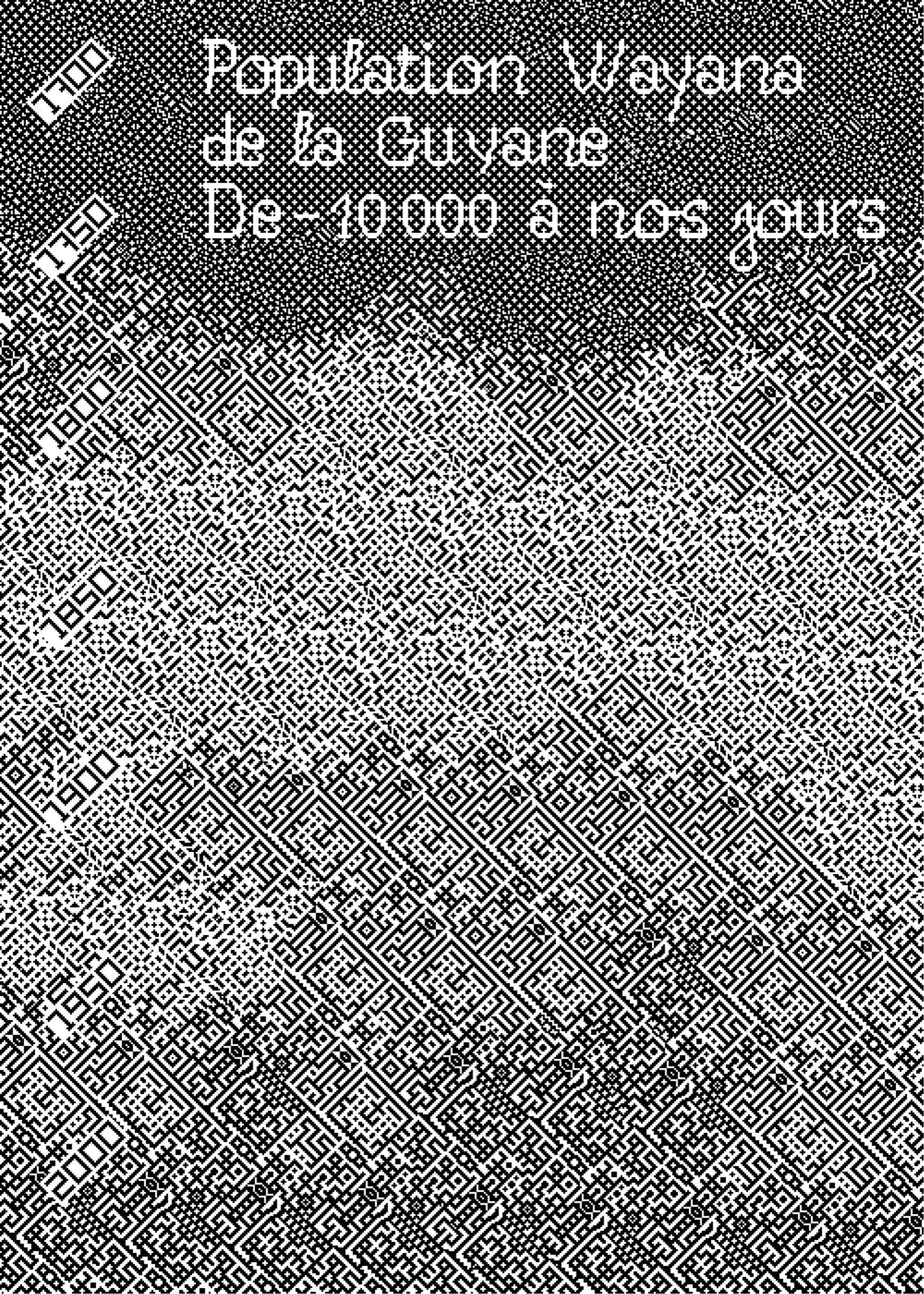 Datavisualisation Wayana, motifs de vannerie réemployés pour représenter l'évolution démographique de la communauté Wayana, Ezéchiel Sene-Boileau
